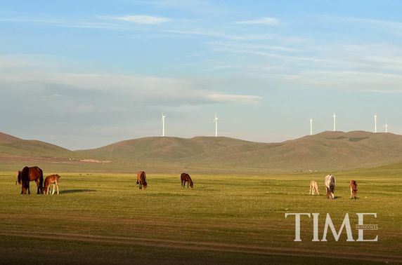 Мал эмнэлгийн тусламжийн утас ажиллуулж эхэллээ